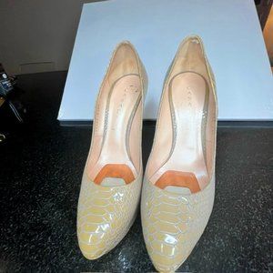 CASADEI Beige Snake Skin Print Pump